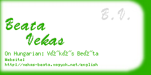 beata vekas business card